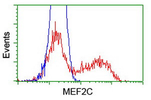 MEF2C Antibody in Flow Cytometry (Flow)