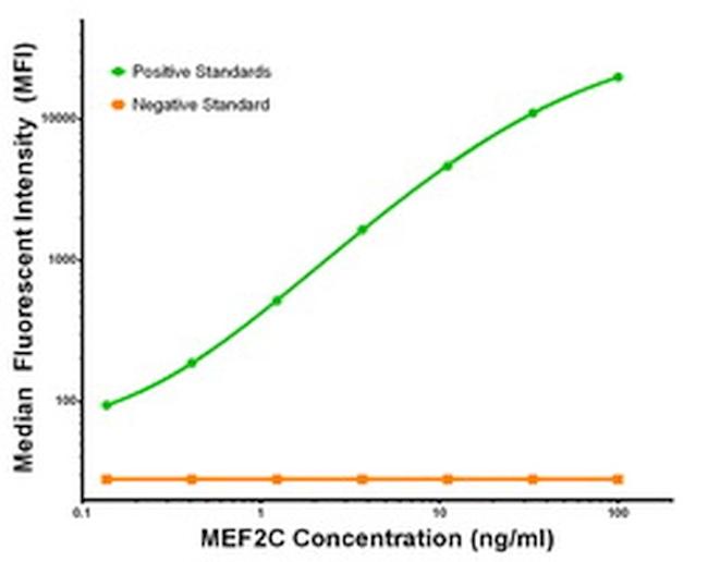 MEF2C Antibody in Luminex (LUM)