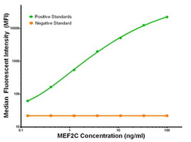 MEF2C Antibody in Luminex (LUM)