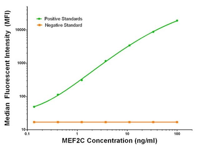 MEF2C Antibody in Luminex (LUM)