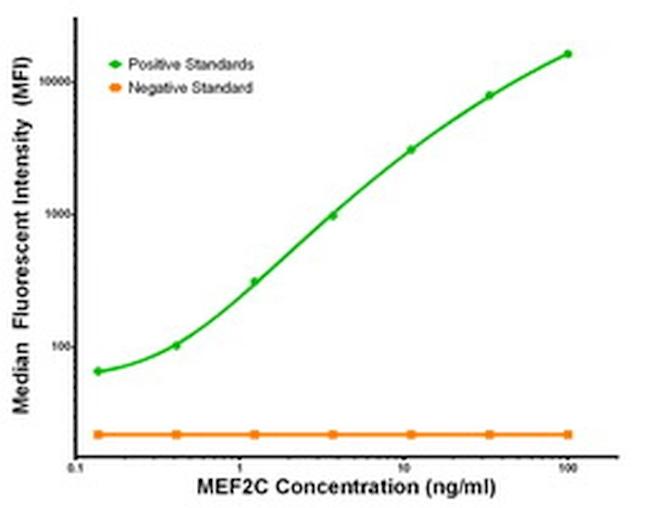 MEF2C Antibody in Luminex (LUM)