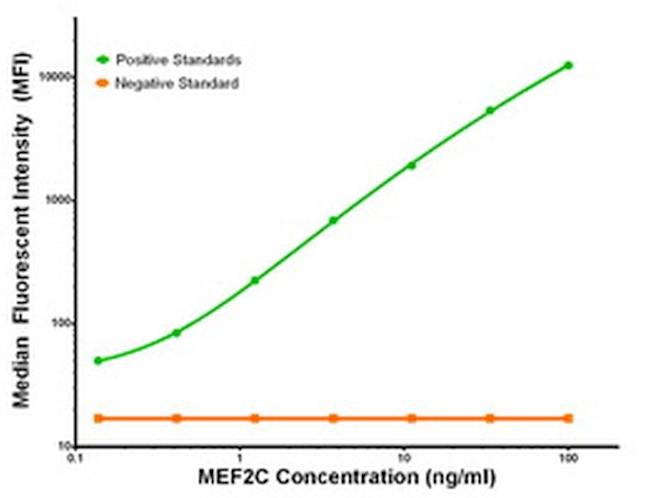 MEF2C Antibody in Luminex (LUM)