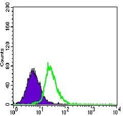 MEF2C Antibody in Flow Cytometry (Flow)