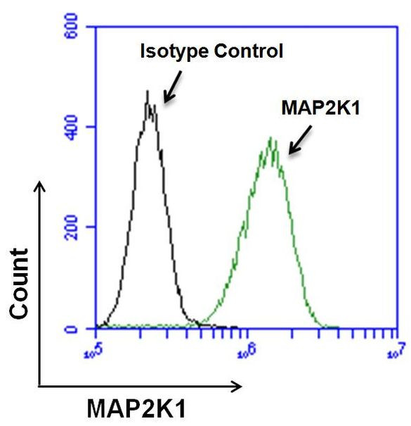 MEK1 Antibody in Flow Cytometry (Flow)