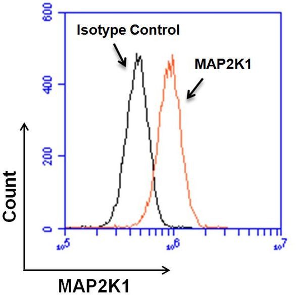 MEK1 Antibody in Flow Cytometry (Flow)