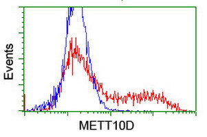 METT10D Antibody in Flow Cytometry (Flow)