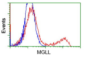 MGLL Antibody in Flow Cytometry (Flow)