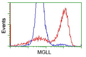 MGLL Antibody in Flow Cytometry (Flow)