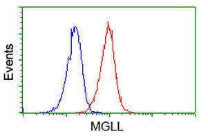 MGLL Antibody in Flow Cytometry (Flow)