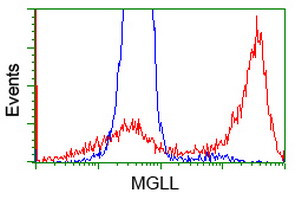 MGLL Antibody in Flow Cytometry (Flow)