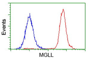 MGLL Antibody in Flow Cytometry (Flow)