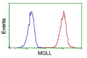 MGLL Antibody in Flow Cytometry (Flow)