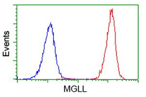 MGLL Antibody in Flow Cytometry (Flow)