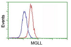 MGLL Antibody in Flow Cytometry (Flow)