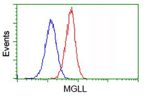 MGLL Antibody in Flow Cytometry (Flow)