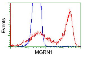 MGRN1 Antibody in Flow Cytometry (Flow)