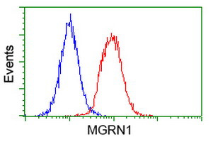 MGRN1 Antibody in Flow Cytometry (Flow)