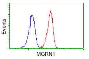 MGRN1 Antibody in Flow Cytometry (Flow)