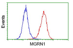 MGRN1 Antibody in Flow Cytometry (Flow)