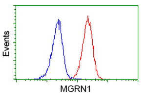 MGRN1 Antibody in Flow Cytometry (Flow)