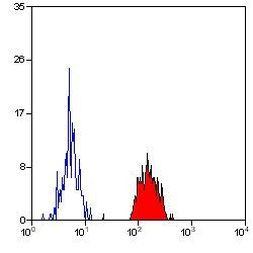 HLA-A2 Antibody in Flow Cytometry (Flow)