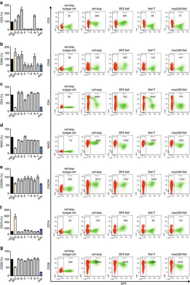 CD4 Antibody in Flow Cytometry (Flow)