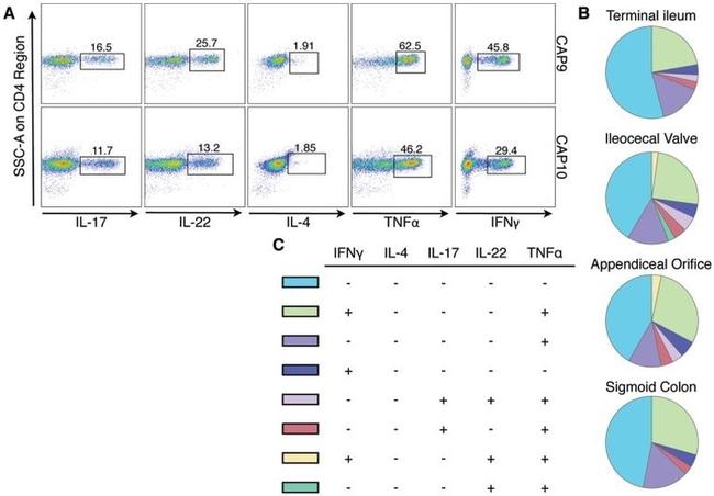 CD4 Antibody in Flow Cytometry (Flow)