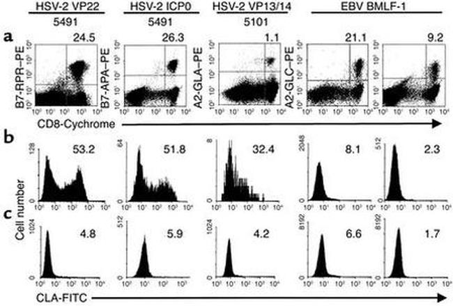 CD8 Antibody in Flow Cytometry (Flow)