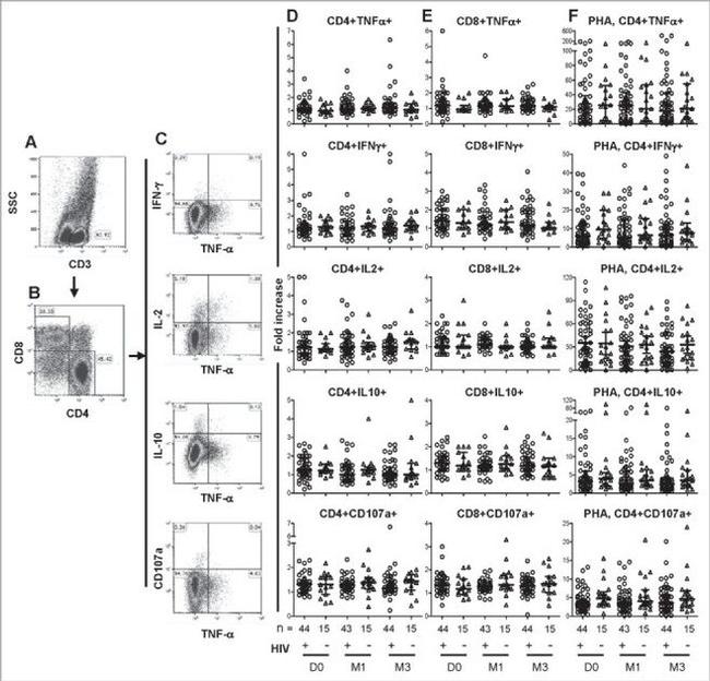 CD8 Antibody in Flow Cytometry (Flow)