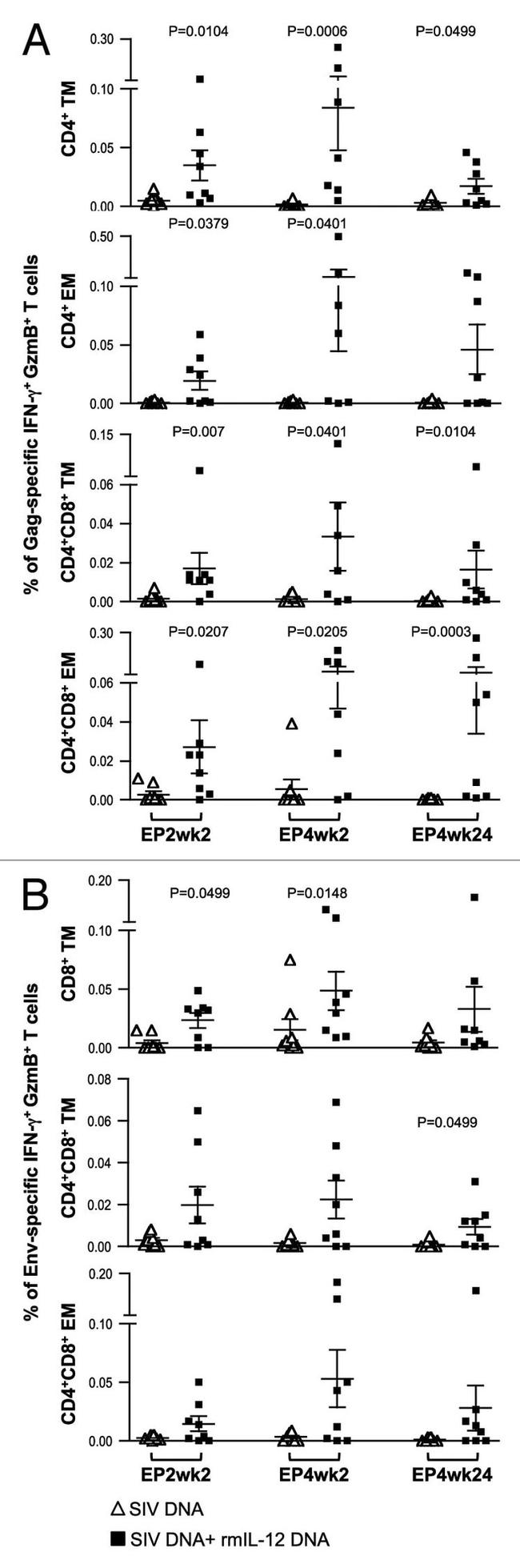 CD8 Antibody in Flow Cytometry (Flow)