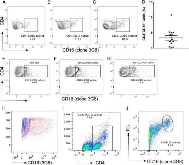 CD16 Antibody in Flow Cytometry (Flow)