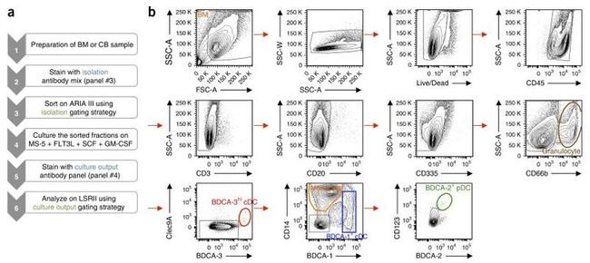 CD45 Antibody in Flow Cytometry (Flow)