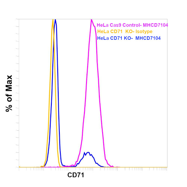 Transferrin Receptor Antibody in Flow Cytometry (Flow)