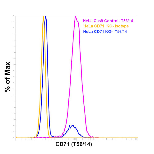 Transferrin Receptor Antibody