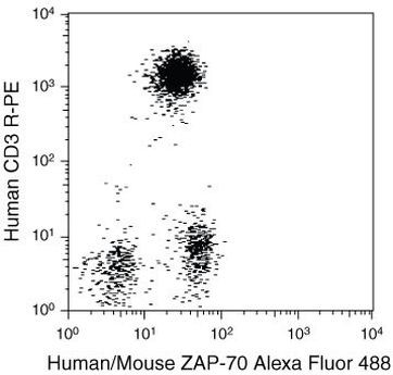 Zap-70 Antibody in Flow Cytometry (Flow)