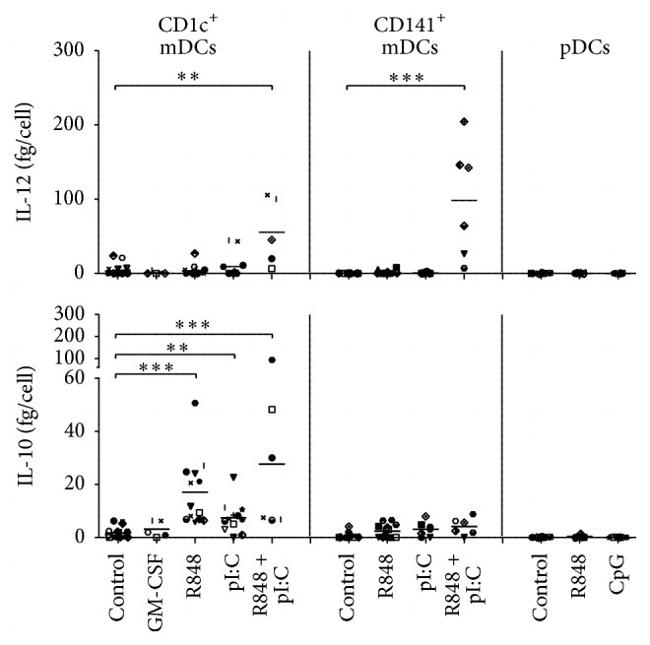 IL-12 p70 Antibody