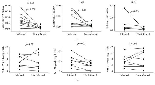 IL-21 Antibody in Flow Cytometry (Flow)