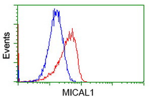 MICAL1 Antibody in Flow Cytometry (Flow)