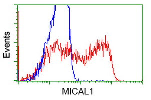 MICAL1 Antibody in Flow Cytometry (Flow)