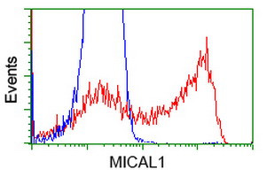 MICAL1 Antibody in Flow Cytometry (Flow)