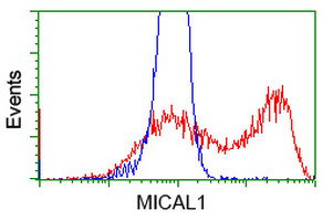 MICAL1 Antibody in Flow Cytometry (Flow)