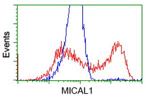 MICAL1 Antibody in Flow Cytometry (Flow)