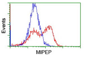 MIPEP Antibody in Flow Cytometry (Flow)