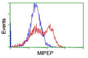 MIPEP Antibody in Flow Cytometry (Flow)