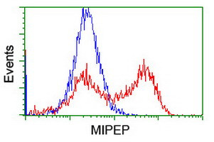 MIPEP Antibody in Flow Cytometry (Flow)