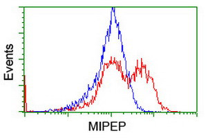 MIPEP Antibody in Flow Cytometry (Flow)