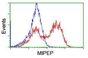 MIPEP Antibody in Flow Cytometry (Flow)