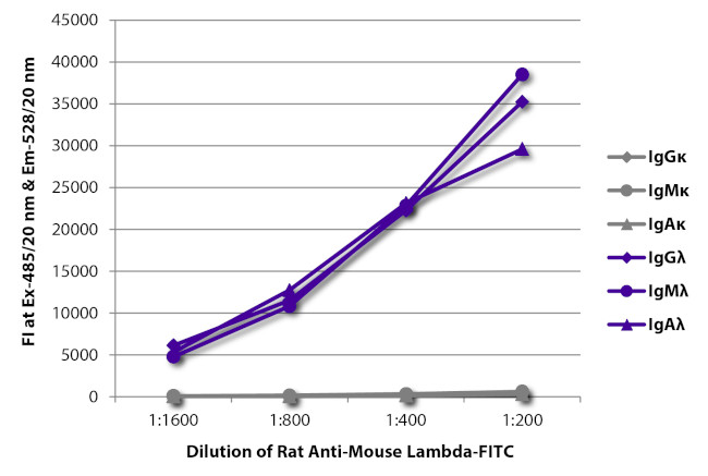 Mouse Lambda Light Chain Secondary Antibody in ELISA (ELISA)