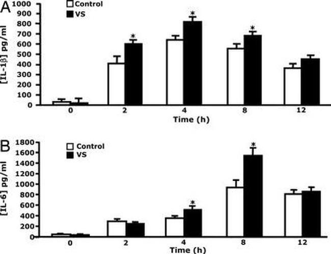 IL-6 Antibody in ELISA (ELISA)