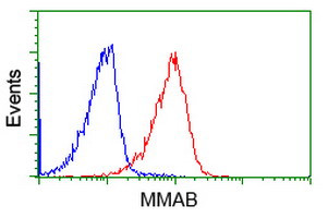 MMAB Antibody in Flow Cytometry (Flow)